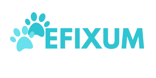 Efixum