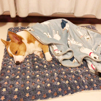 Dog & Cat Calming Bed