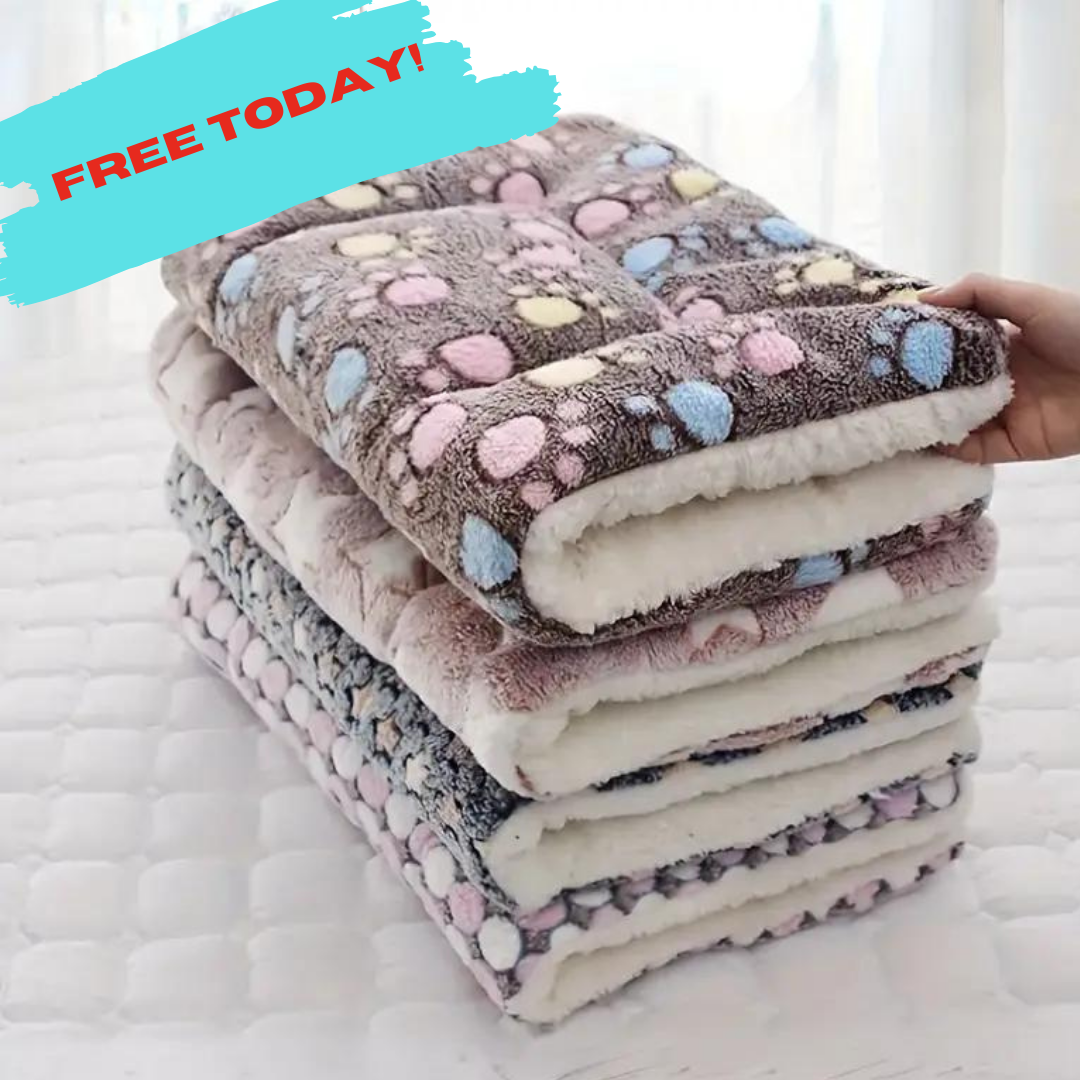 CalmPaws Cushion