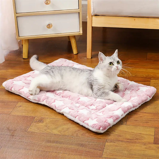 CalmPaws Cushion